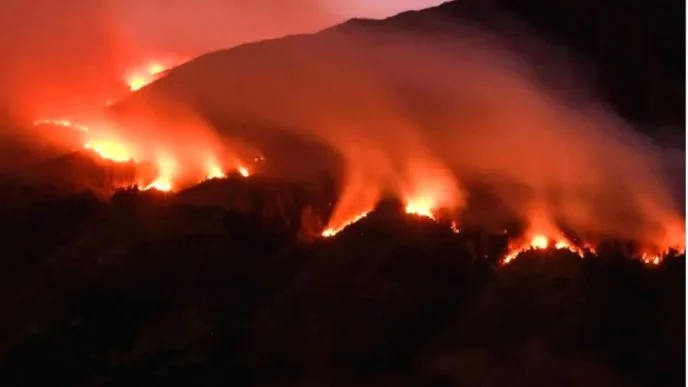 Kebakaran di gunung bromo