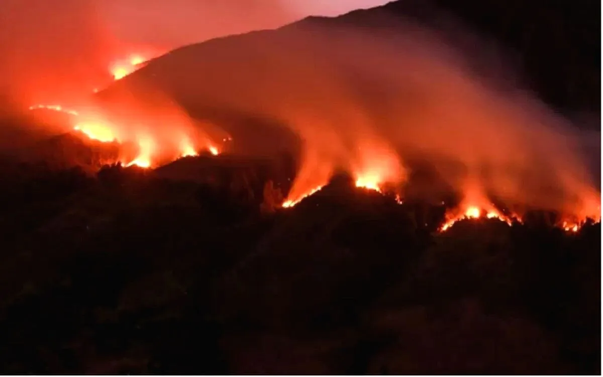 Kebakaran Bromo Meluas, Akses Taman Nasional Bromo Tengger Semeru Ditutup Total, Wisatawan Diminta Menunda Kunjungan Kebakaran di gunung bromo