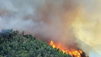 Kebakaran hutan di aljazair