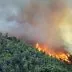 Kebakaran hutan di aljazair