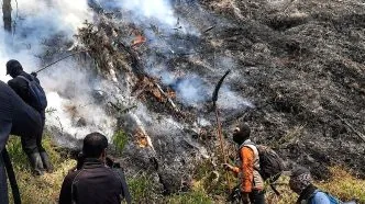 Kebakaran hutan di gunung bromo