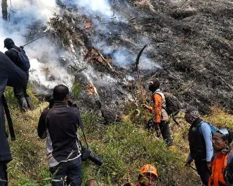 Kebakaran Hutan di Bromo Makin Meluas, 120 Hektare Lahan Hangus, Helikopter Water Bombing Dikerahkan Kebakaran hutan di gunung bromo