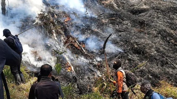 Kebakaran hutan di gunung bromo