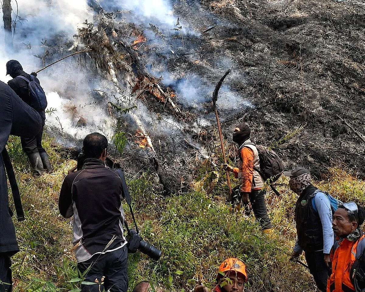 Kebakaran Hutan di Bromo Makin Meluas, 120 Hektare Lahan Hangus, Helikopter Water Bombing Dikerahkan Kebakaran hutan di gunung bromo