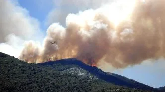 Kebakaran hutan di papua tengah