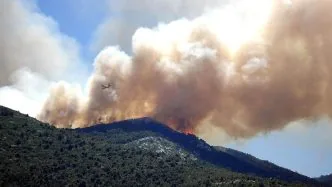 Kebakaran Lahan di Papua Tengah: BMKG Catat 1.923 Titik Panas, Nabire Jadi Wilayah Paling Rawan Kebakaran hutan di papua tengah