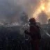 Kebakaran hutan meluas di kalimantan