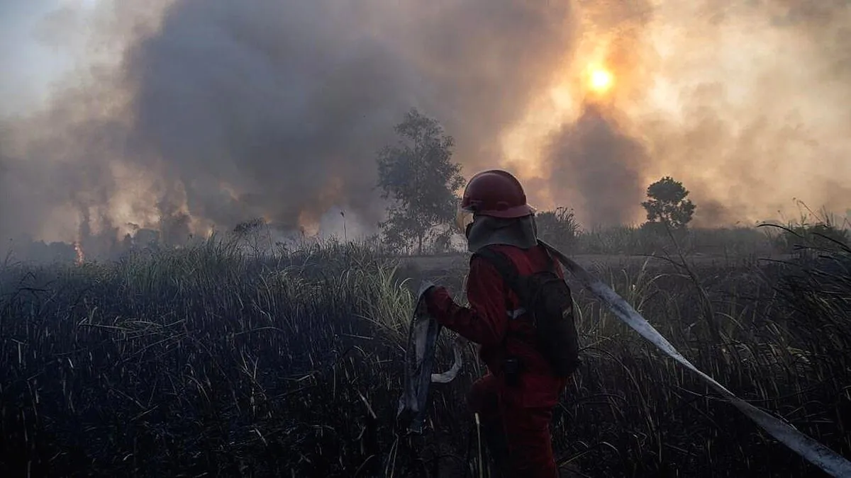 1.487 Titik Panas Karhutla Terpantau di Kalimantan, Kalteng Jadi Wilayah Terdampak Paling Parah Kebakaran hutan meluas di kalimantan