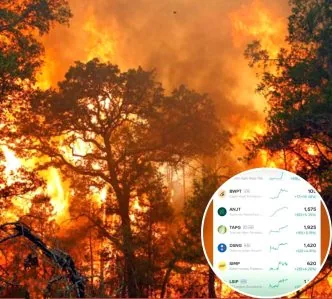 Saham Perusahaan Sawit Melonjak Saat Kebakaran Hutan Menggila, Apa Penyebabnya? Kebakaran hutan saham sawit naik