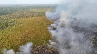 Kebakaran di Way Kambas hingga 107 Hektar: 23 Desa Berisiko Terdampak Kebakaran, Kondisi Gajah Dipantau Intensif Kebakaran taman nasional hutan way kambas