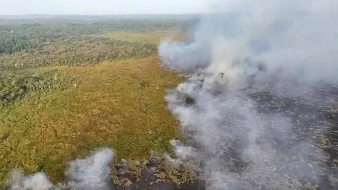 Kebakaran di Way Kambas hingga 107 Hektar: 23 Desa Berisiko Terdampak Kebakaran, Kondisi Gajah Dipantau Intensif Kebakaran taman nasional hutan way kambas