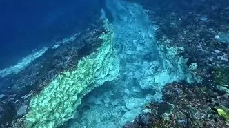 Rangkaian gempa flores sebabkan retakan di dalam laut