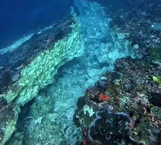 Rangkaian gempa flores sebabkan retakan di dalam laut