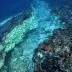 Rangkaian gempa flores sebabkan retakan di dalam laut