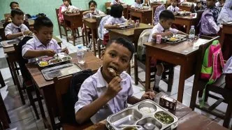 Survei publik tentang mbg