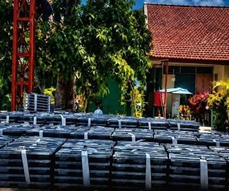 Iman Zanatul Kritik Pernyataan soal Guru dan Keracunan MBG Jangan Alihkan Tanggung Jawab