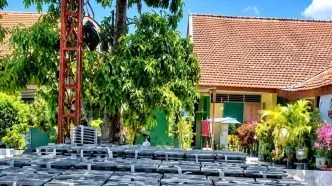 Siswa Masih Trauma, SMPN 1 Kabuh Jombang Setop Sementara Distribusi MBG Keracunan Massal di SMPN 1 Kabuh, Pembagian MBG Dihentikan Sementara