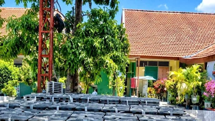 Keracunan Massal di SMPN 1 Kabuh, Pembagian MBG Dihentikan Sementara